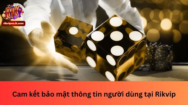 Cam kết bảo mật thông tin người dùng tại Rikvip
