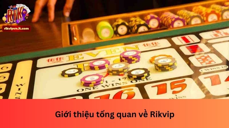 Giới thiệu tổng quan về Rikvip