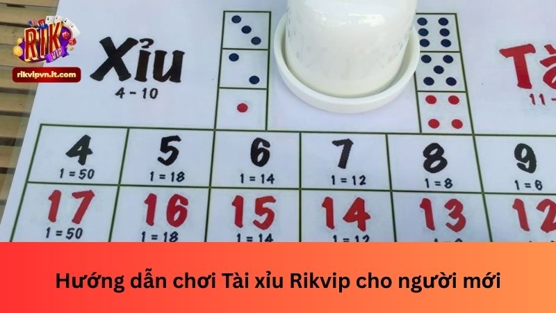 Hướng dẫn chơi Tài xỉu Rikvip cho người mới