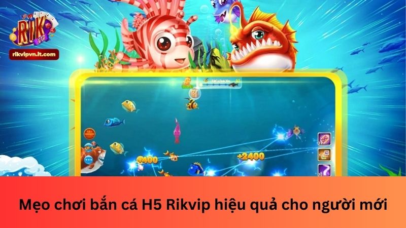 Mẹo chơi bắn cá H5 Rikvip hiệu quả cho người mới