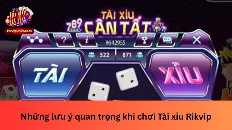 Những lưu ý quan trọng khi chơi Tài xỉu Rikvip