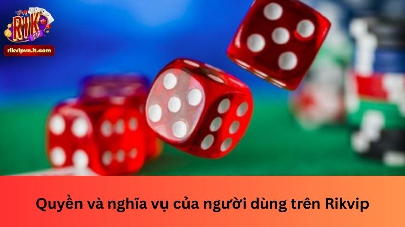Quyền và nghĩa vụ của người dùng trên Rikvip