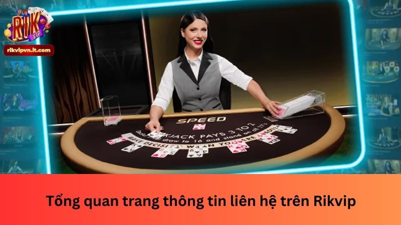 Tổng quan trang thông tin liên hệ trên Rikvip