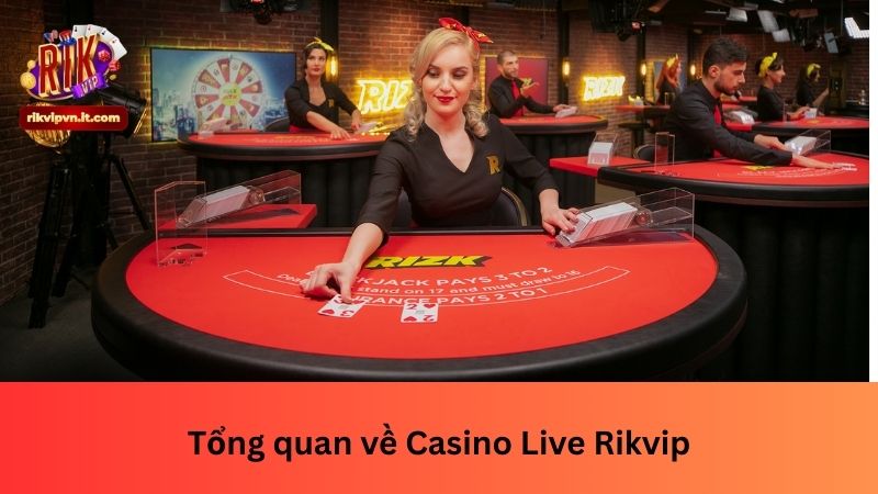 Tổng quan về Casino Live Rikvip